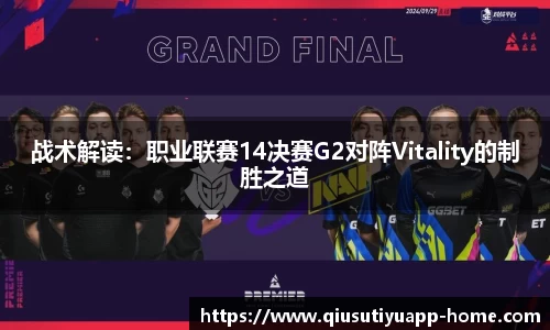 球速体育平台