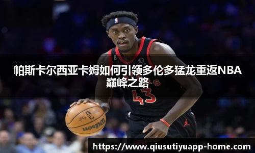 球速体育官网